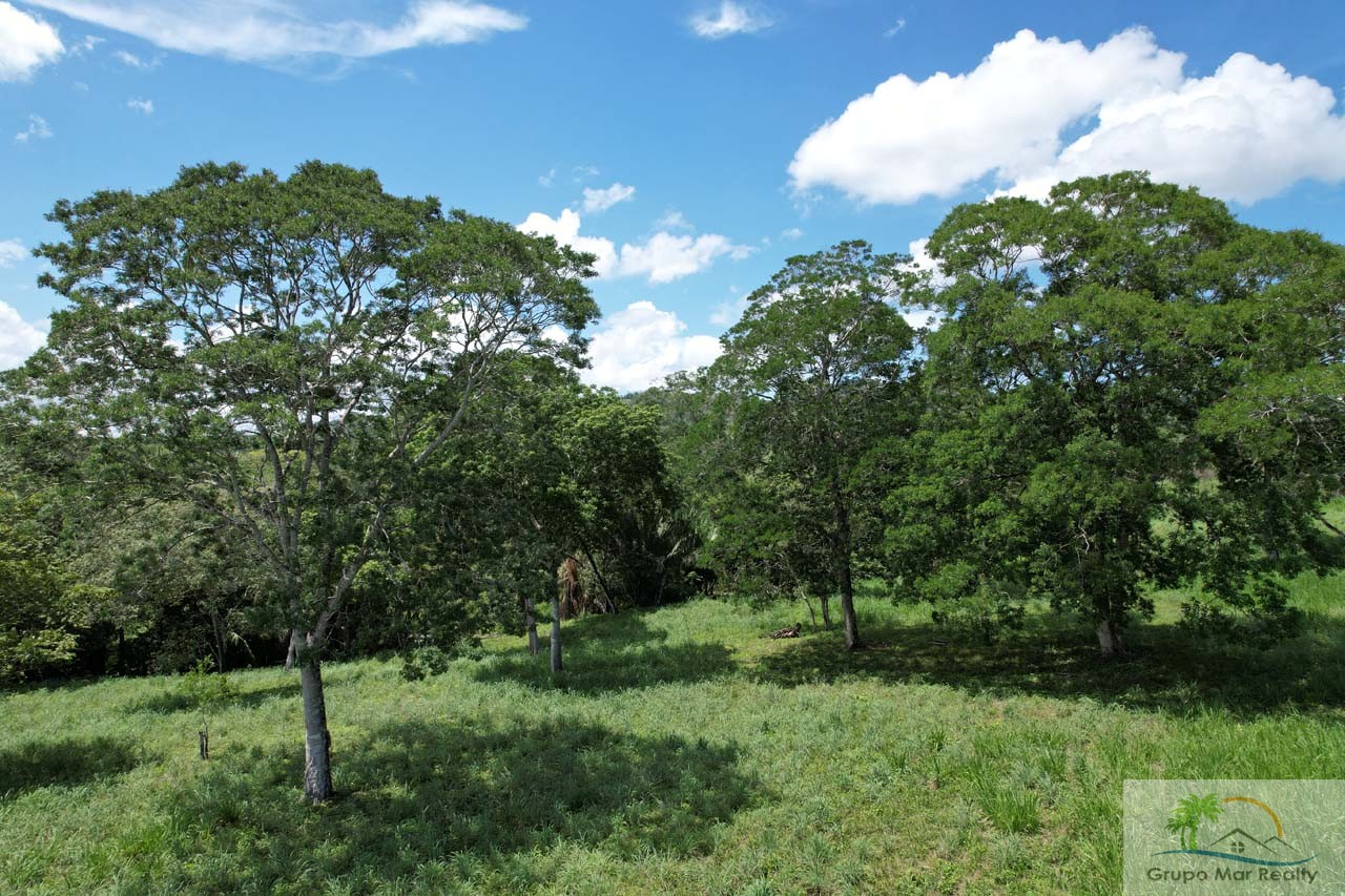 Land For Sale in Belize