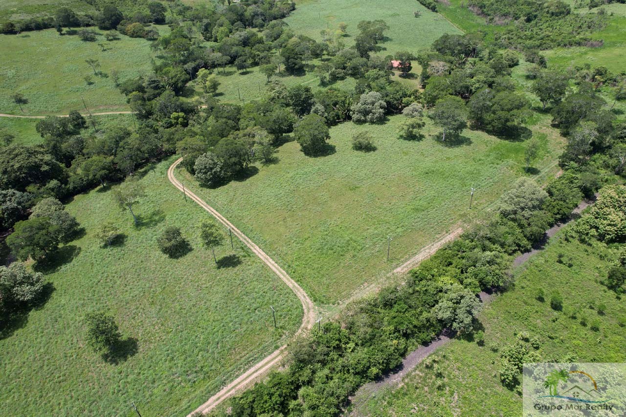 Land For Sale in Belize