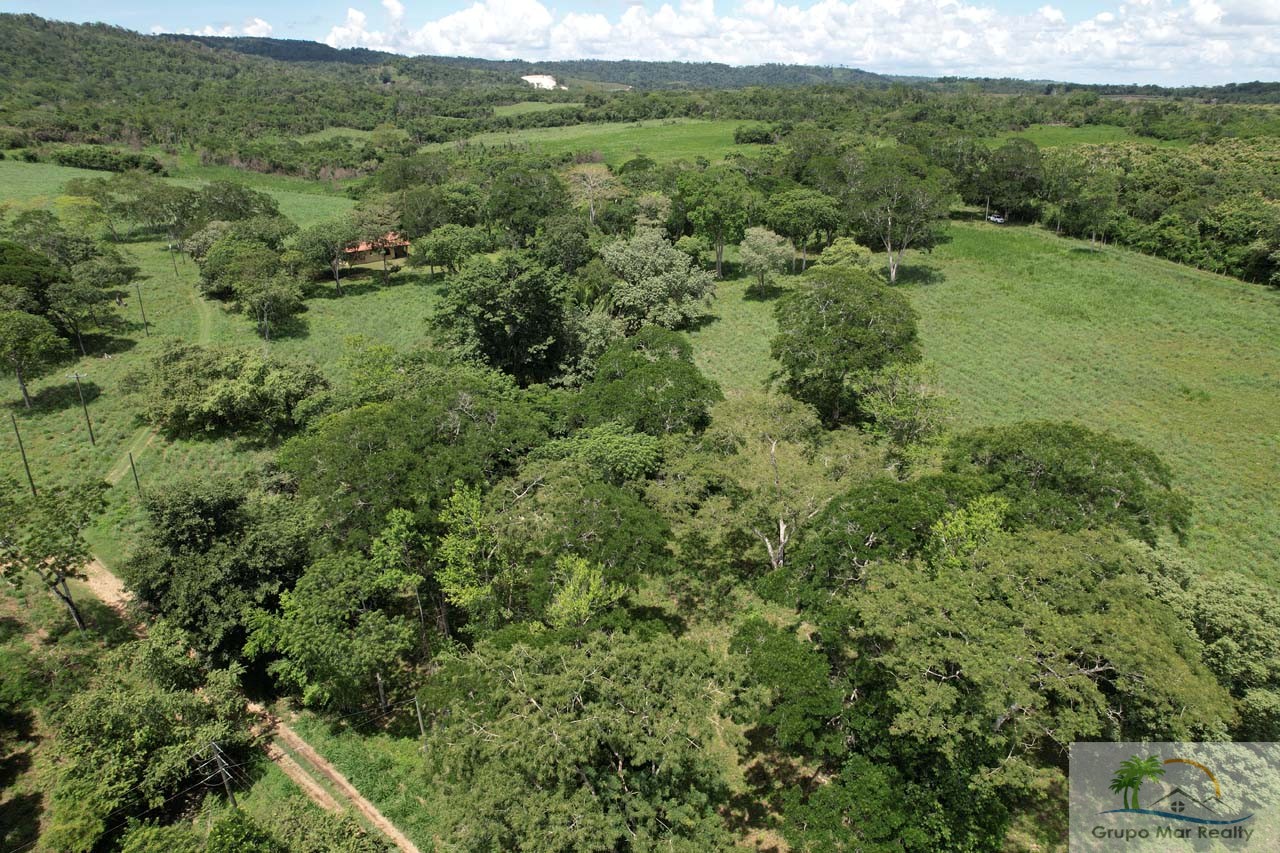 Land For Sale in Belize