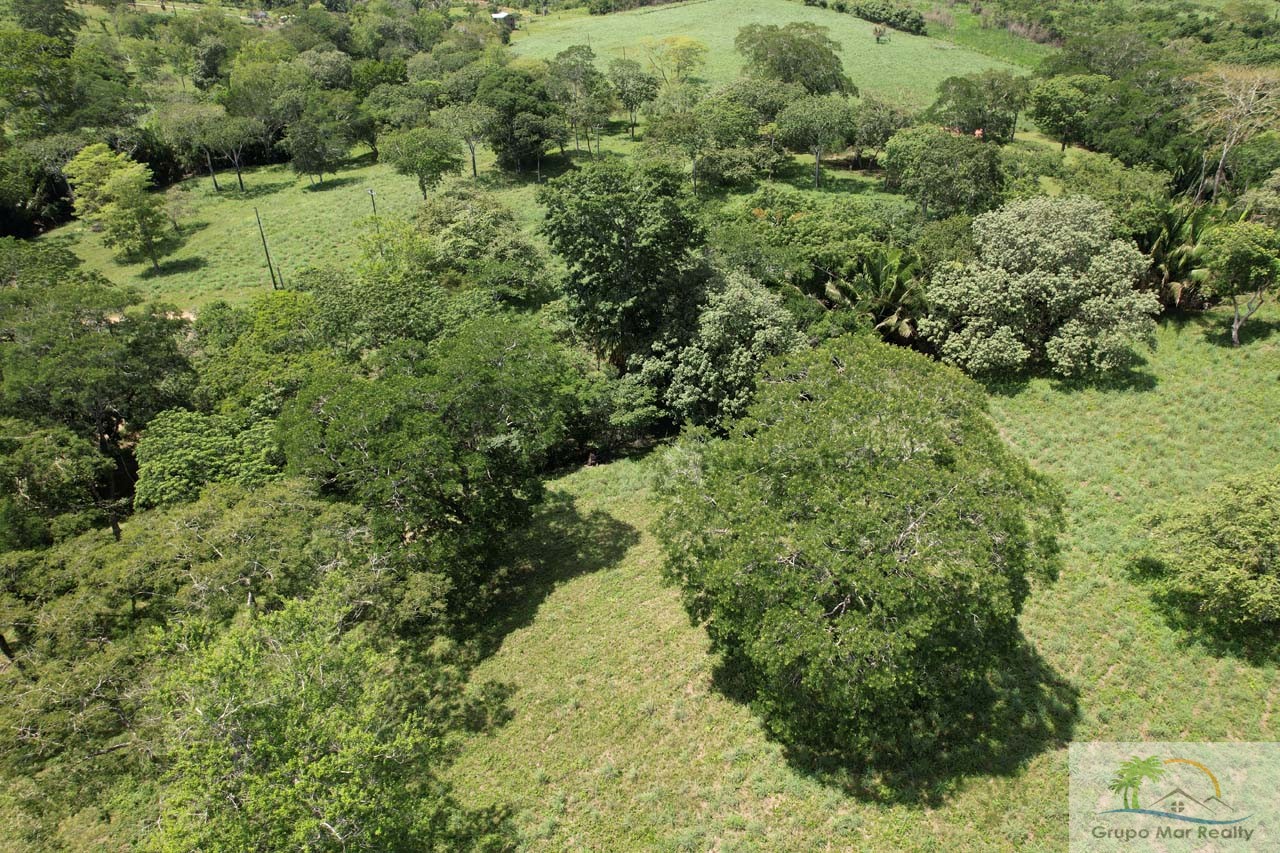Land For Sale in Belize