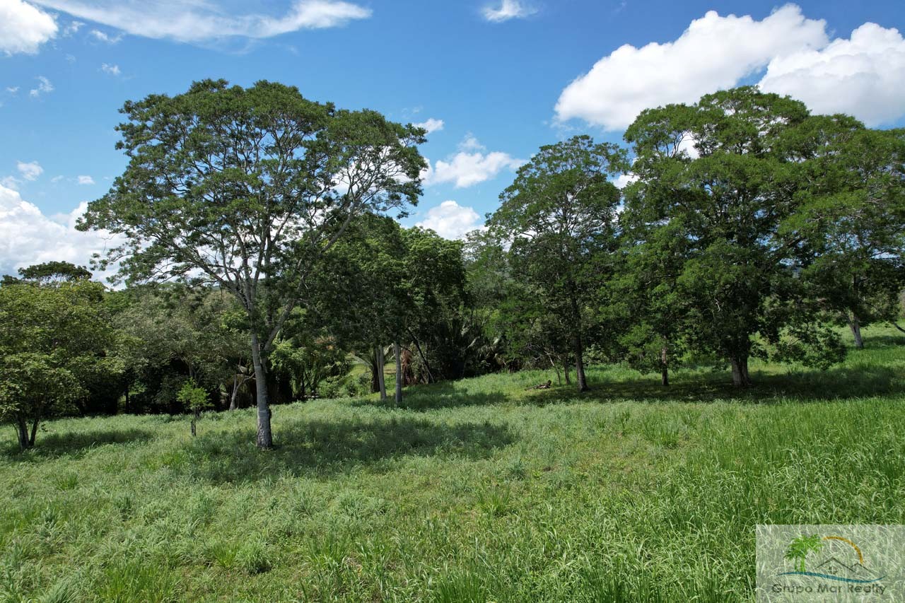 Land For Sale in Belize