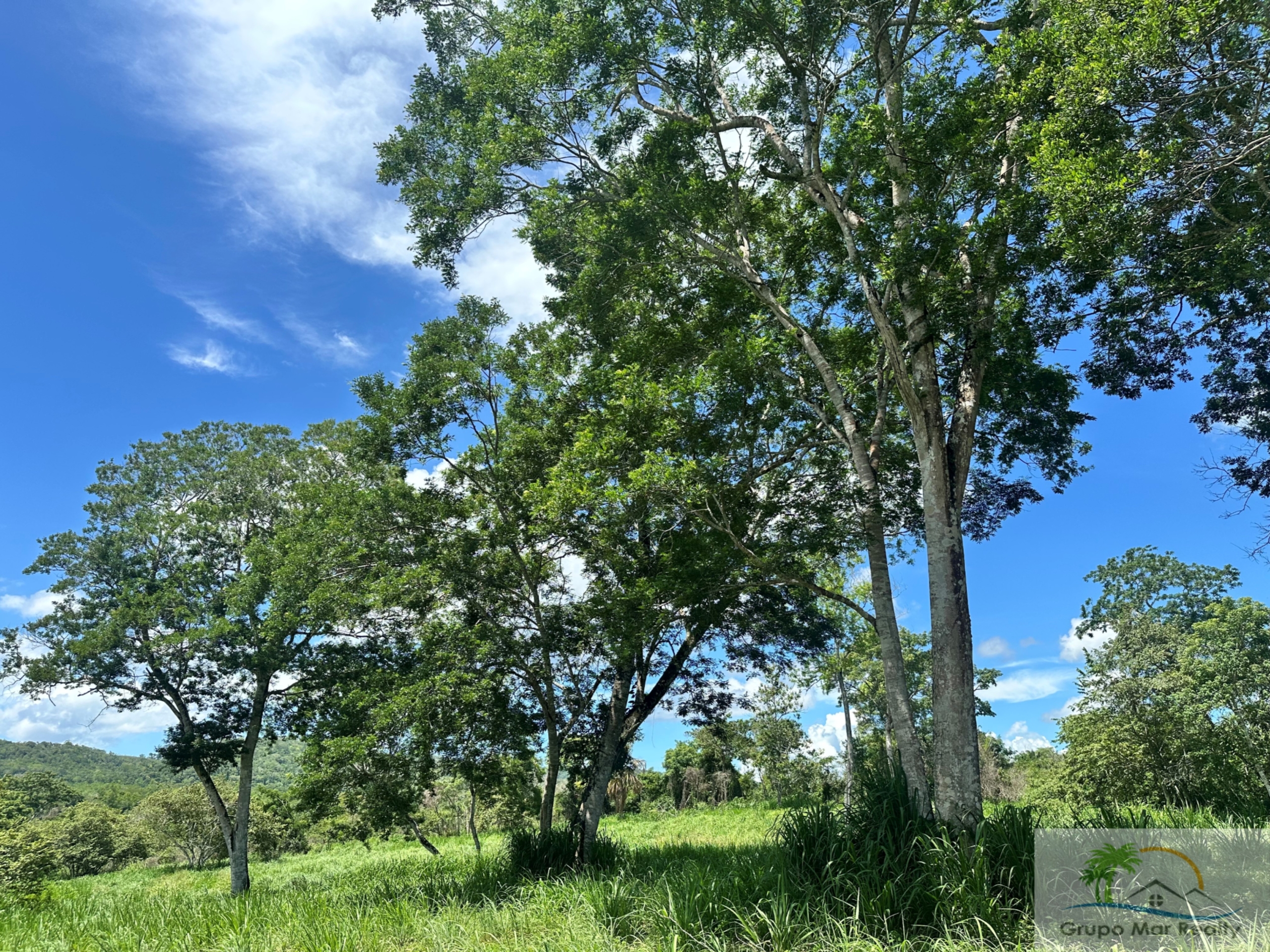 Belize Land For Sale