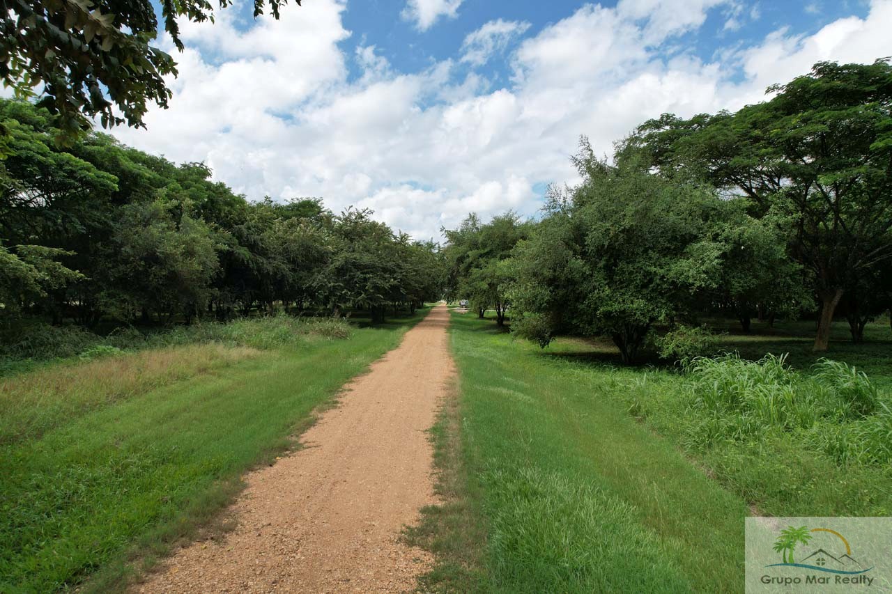 Belize Land For Sale