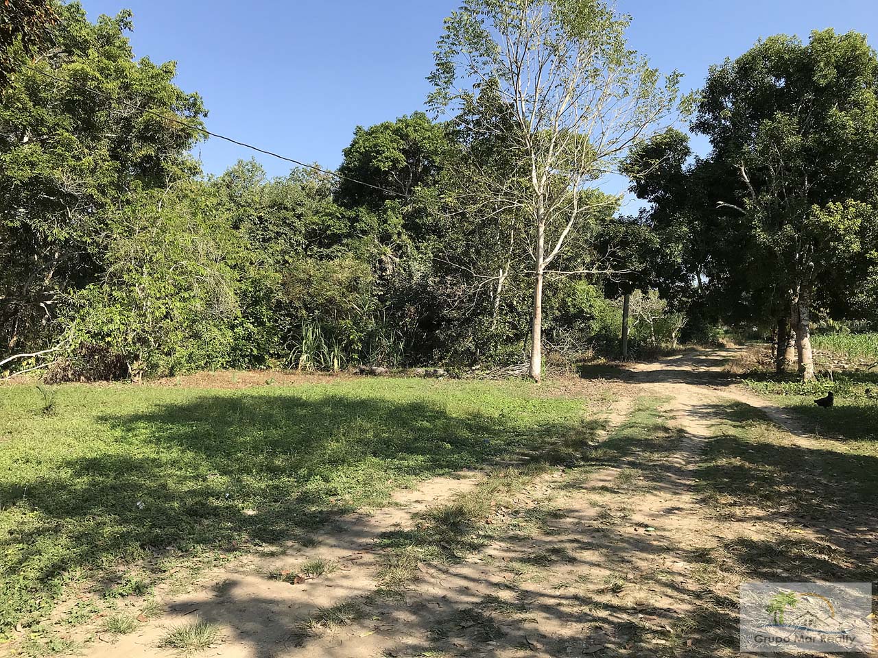 Riverfront For Sale in Belize