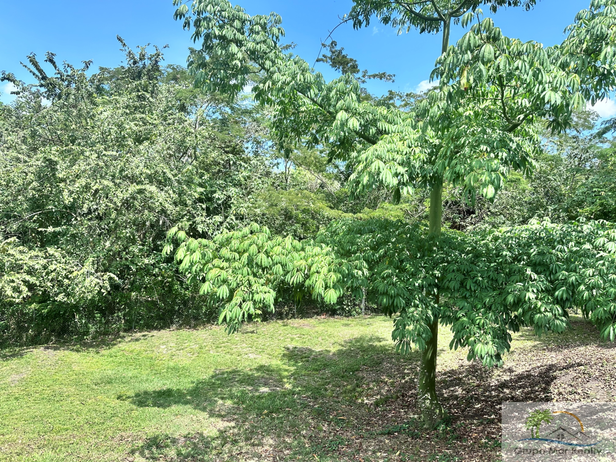 Belize Home For Sale in Duck Run 2
