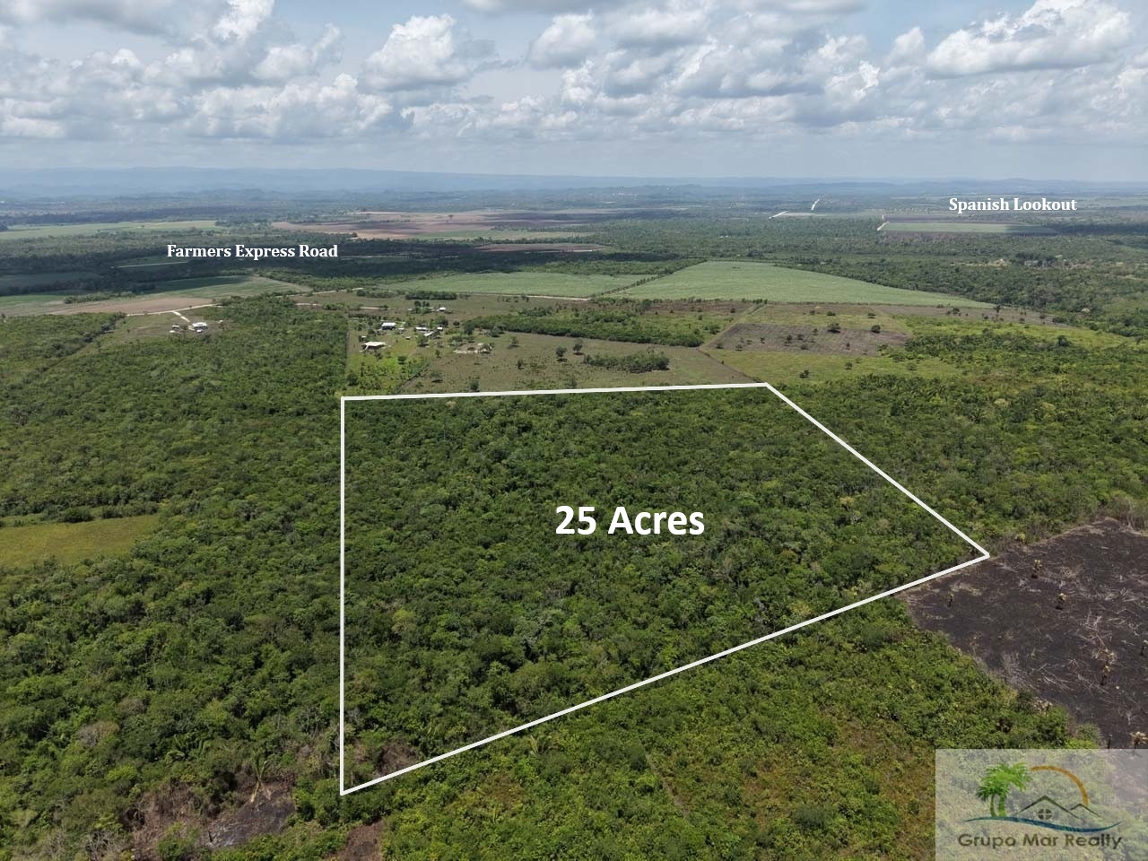 Belize 25 Acre Farmland
