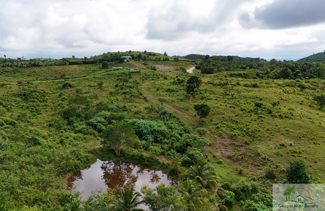 45.966 Acres in La Gracia Cayo District For Sale