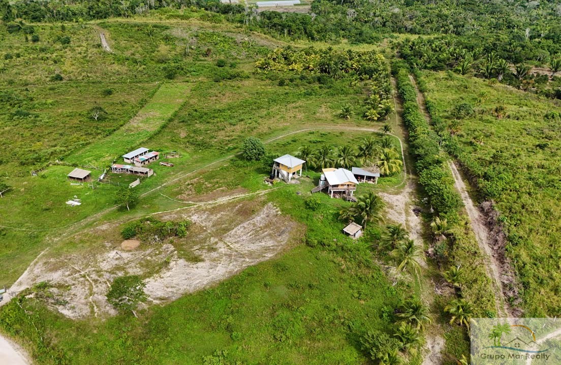 45.966 Acres in La Gracia Cayo District For Sale