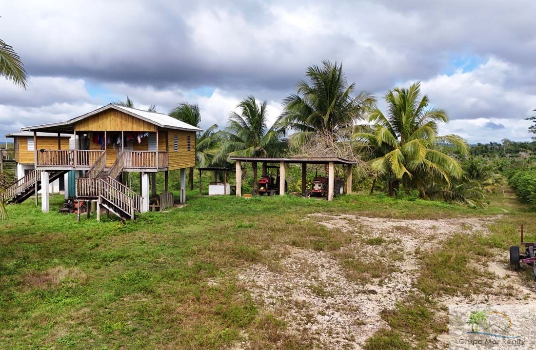45.966 Acres in La Gracia Cayo District For Sale