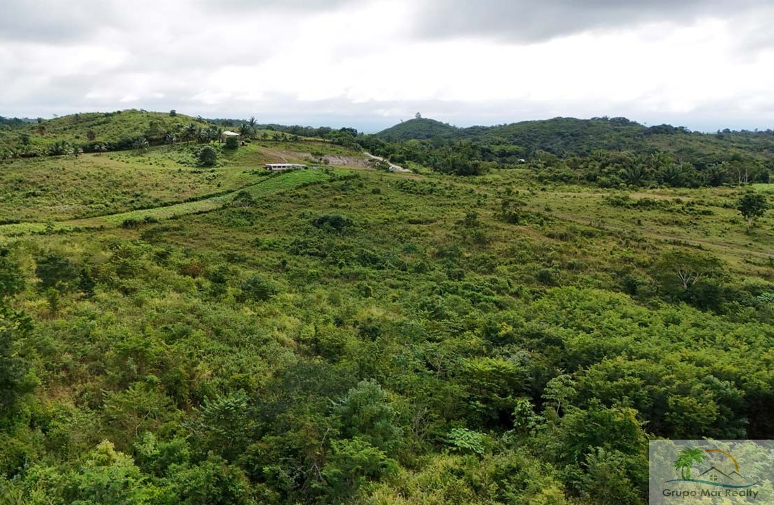 45.966 Acres in La Gracia Cayo District For Sale