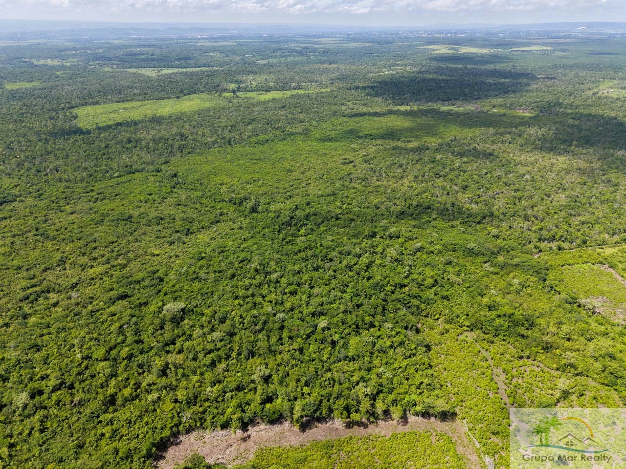 Belize 29 Acre Cayo Jungle Property