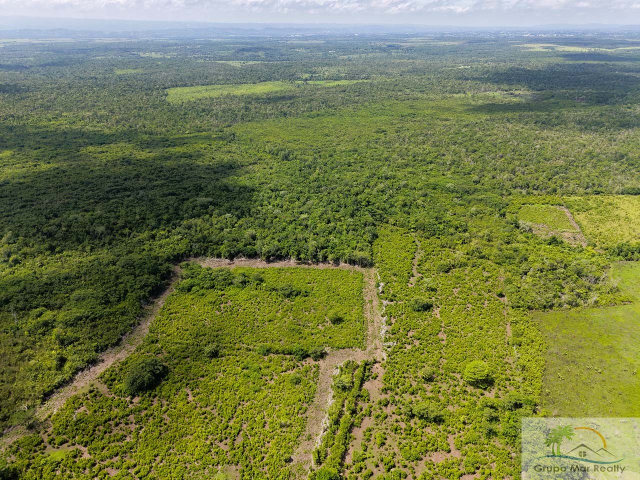 Belize 29 Acre Cayo Jungle Property
