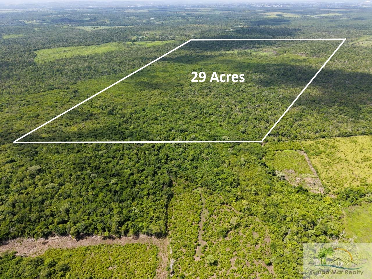 Belize 29 Acre Cayo Jungle Property