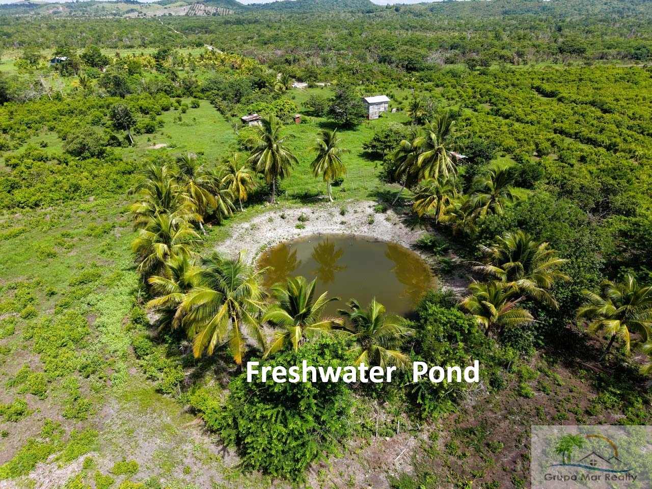 Belize 50 Acre Farm with Fruit Trees