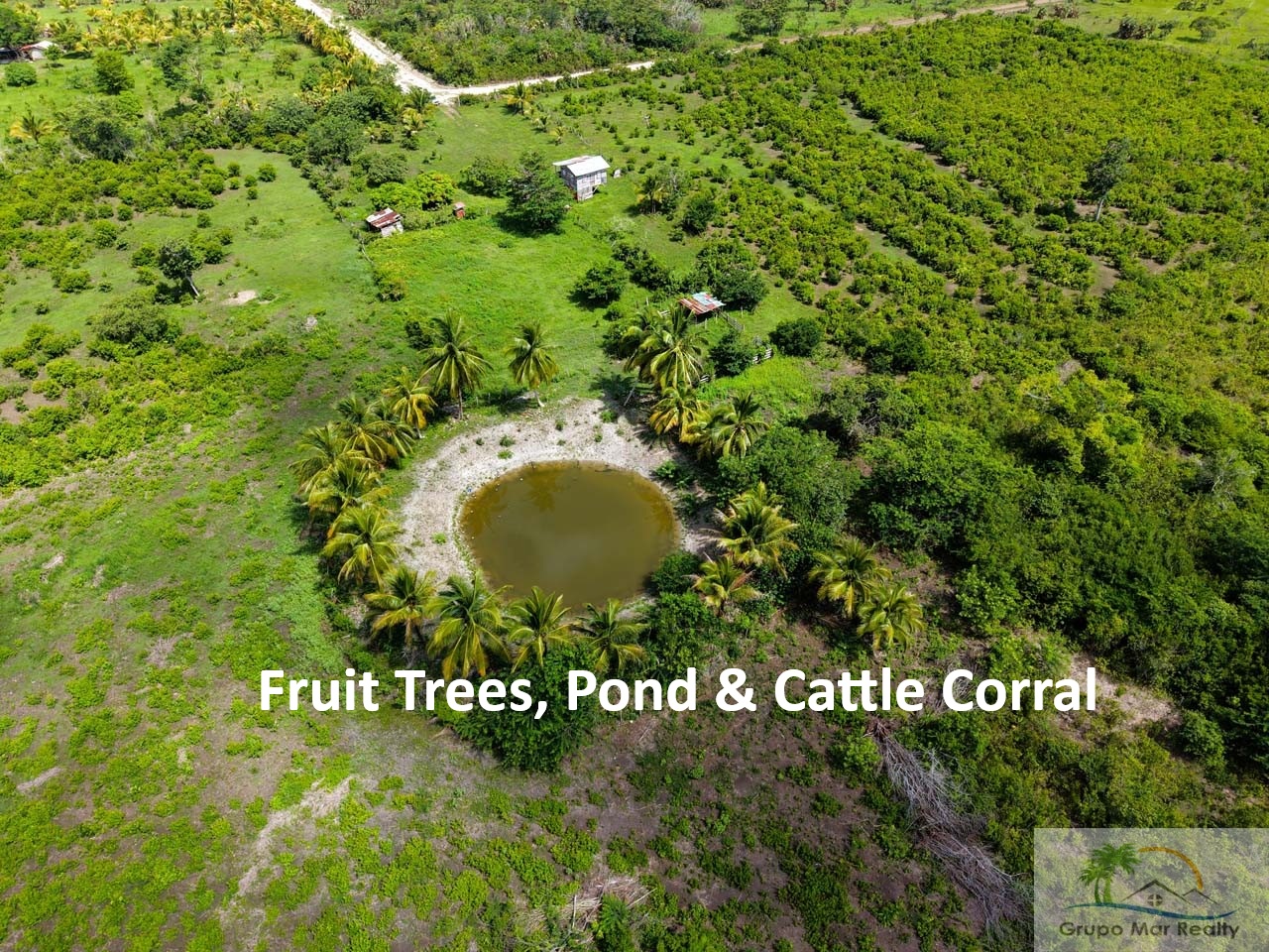 Belize 50 Acre Farm with Fruit Trees