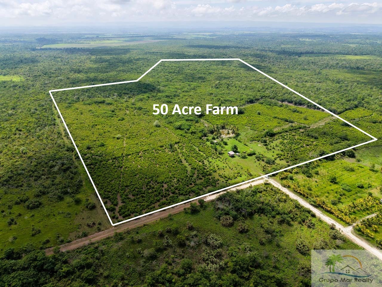 Belize 50 Acre Farm with Fruit Trees