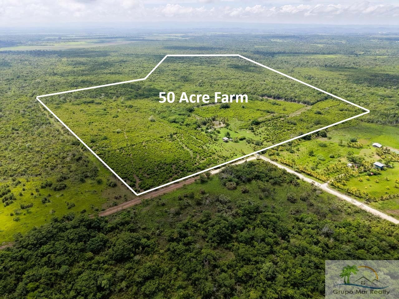 Belize 50 Acre Farm with Fruit Trees