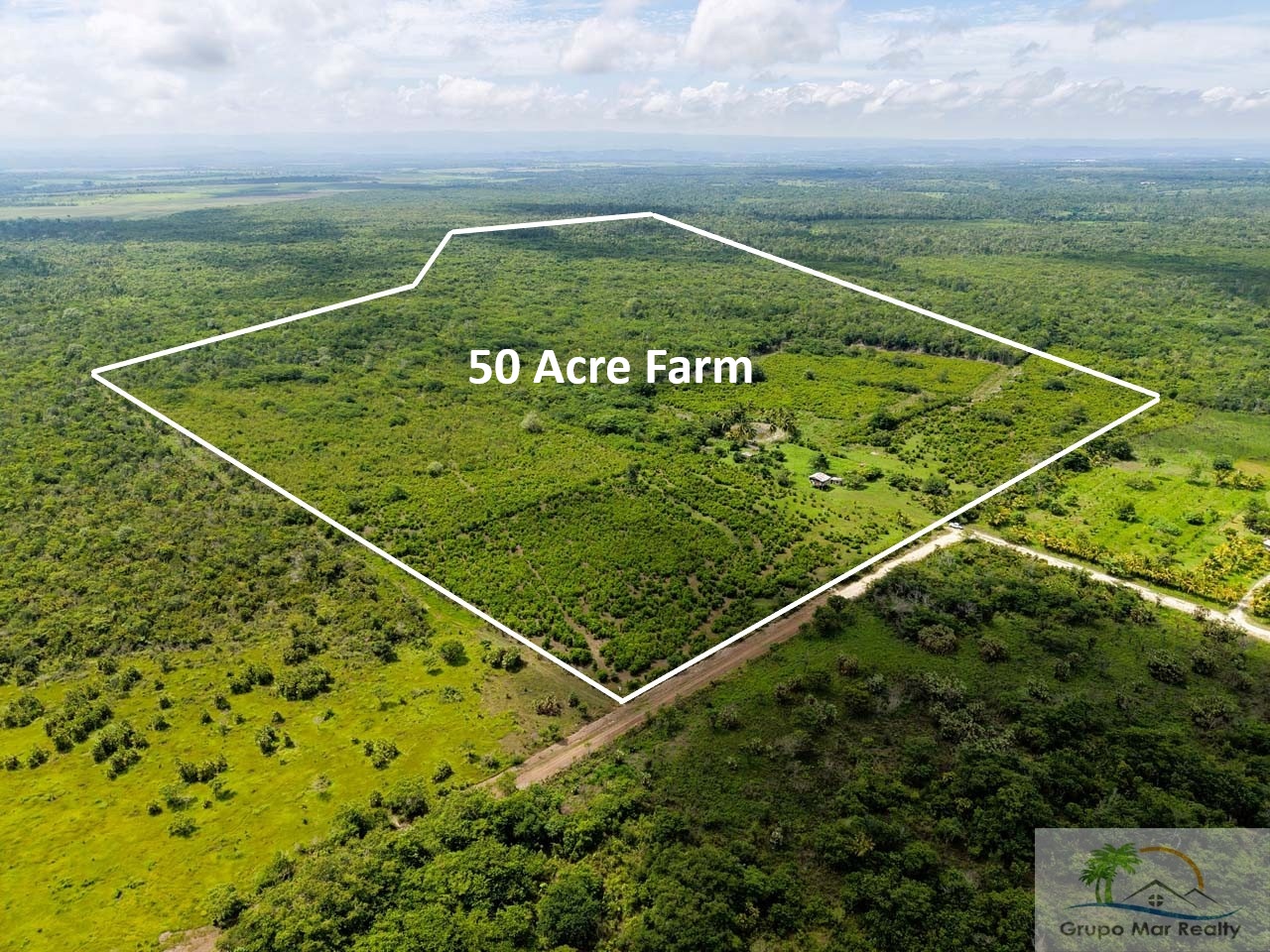 Belize 50 Acre Farm with Fruit Trees