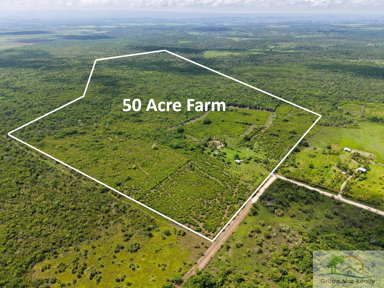 Belize 50 Acre Farm with Fruit Trees