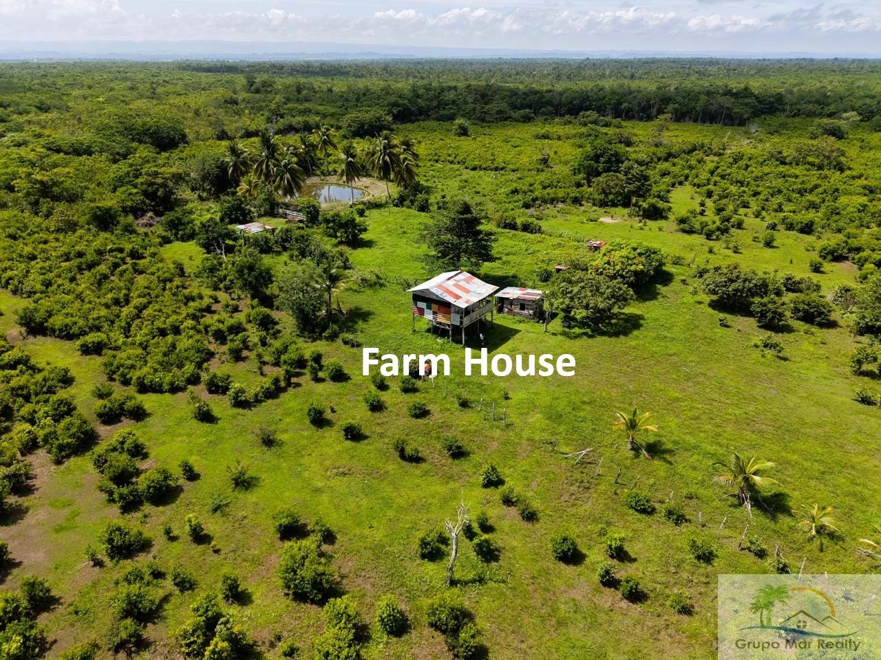 Belize 50 Acre Farm with Fruit Trees