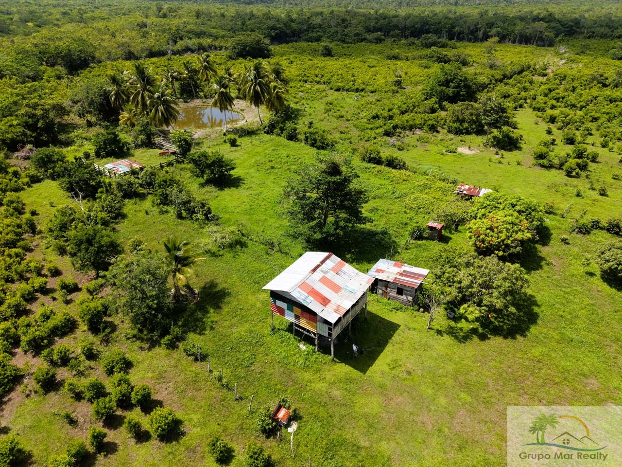 Belize 50 Acre Farm with Fruit Trees