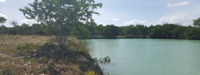 Belize Land in Corozal For Sale (15)